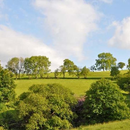 Hendre Aled Farmhouse Llansannan Esterno foto