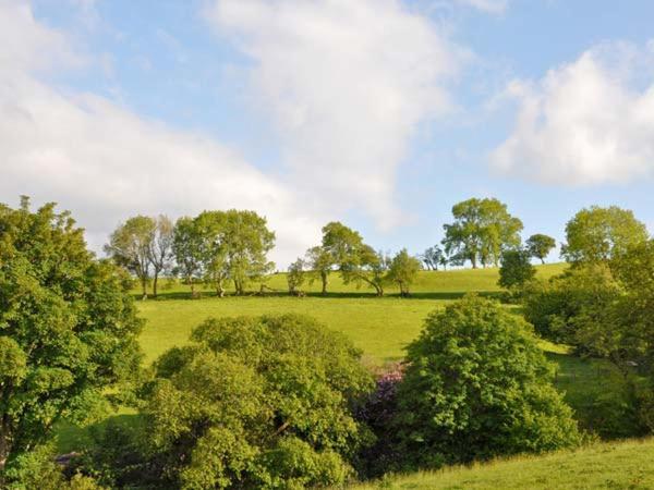 Hendre Aled Farmhouse Llansannan Esterno foto
